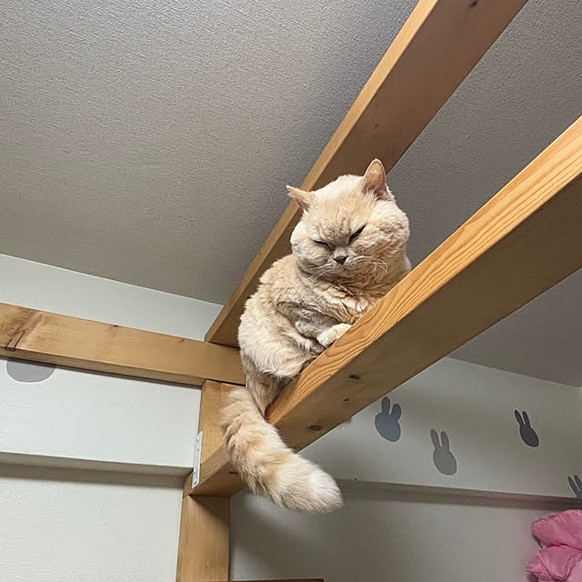 naokoさんの部屋