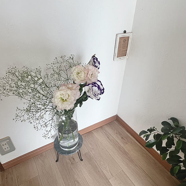rookuさんの部屋