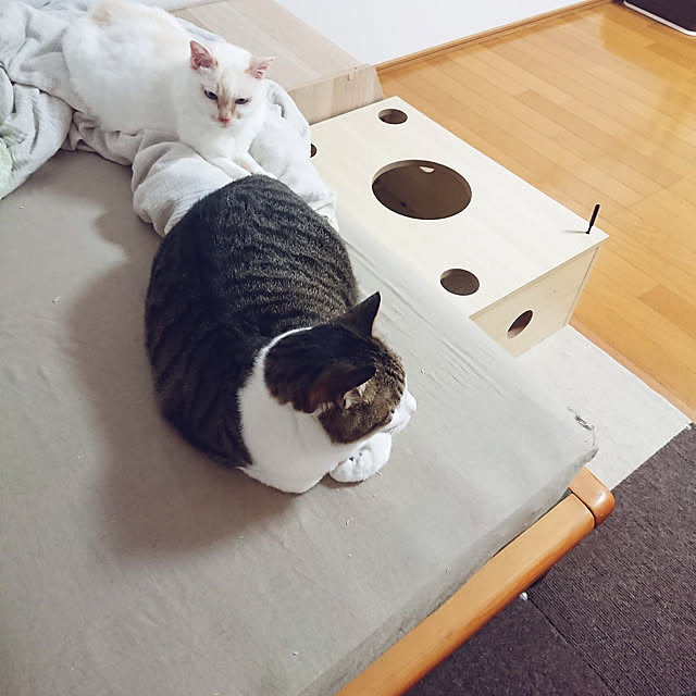 nachiさんの実例写真