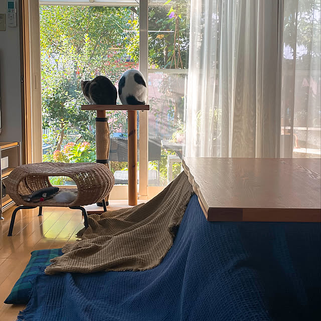nobikoさんの実例写真