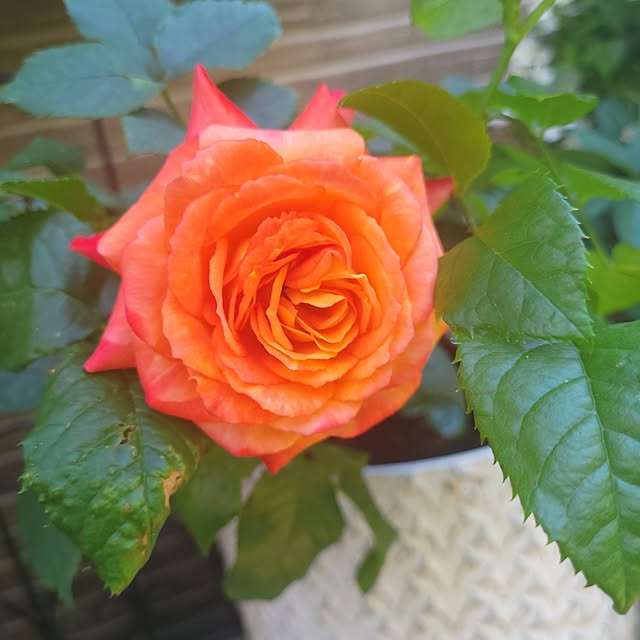 mimi828さんの部屋