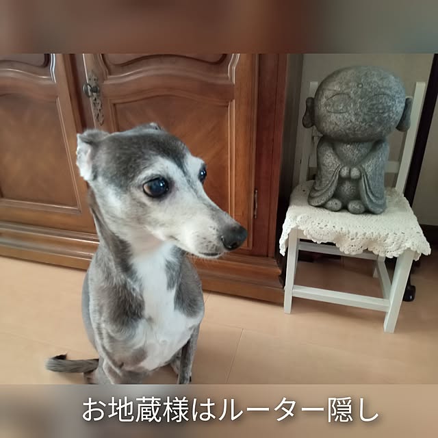 moruさんの部屋