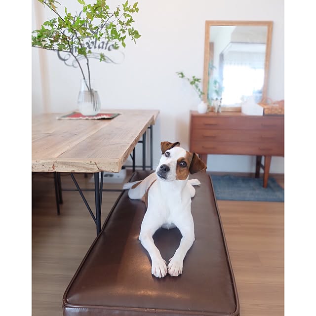 hara0707さんの実例写真
