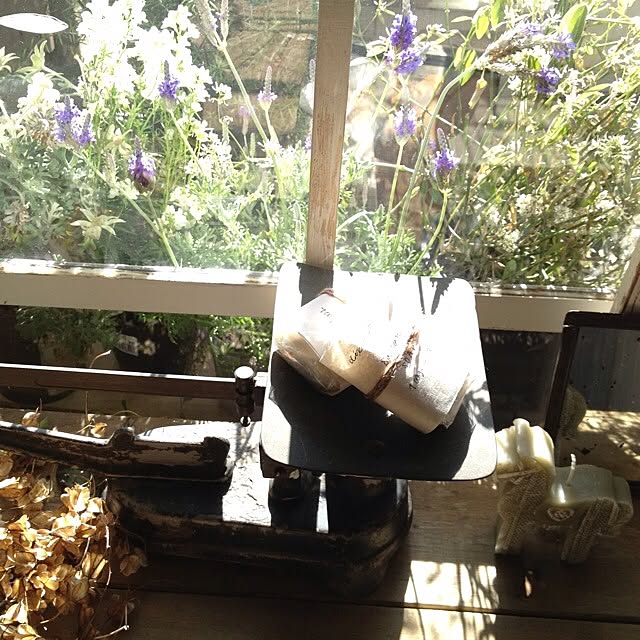 kimuさんの実例写真