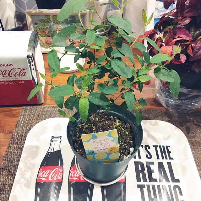 NAOKIさんの実例写真