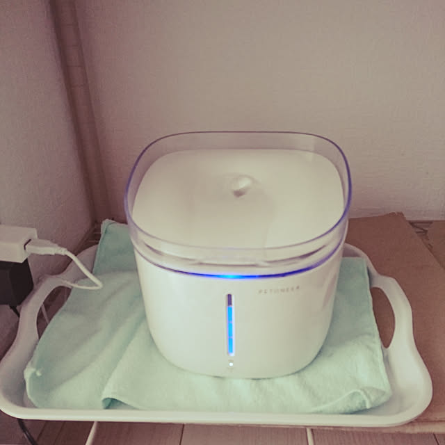 ku1107さんの実例写真