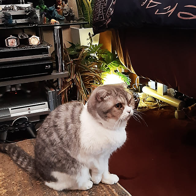 tosi66554さんの実例写真