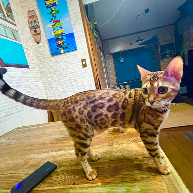 tututu0204さんの部屋