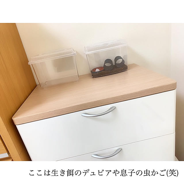 chaluさんの実例写真