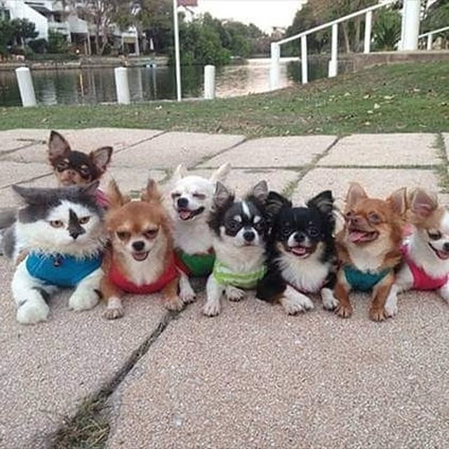 Tackunさんの実例写真
