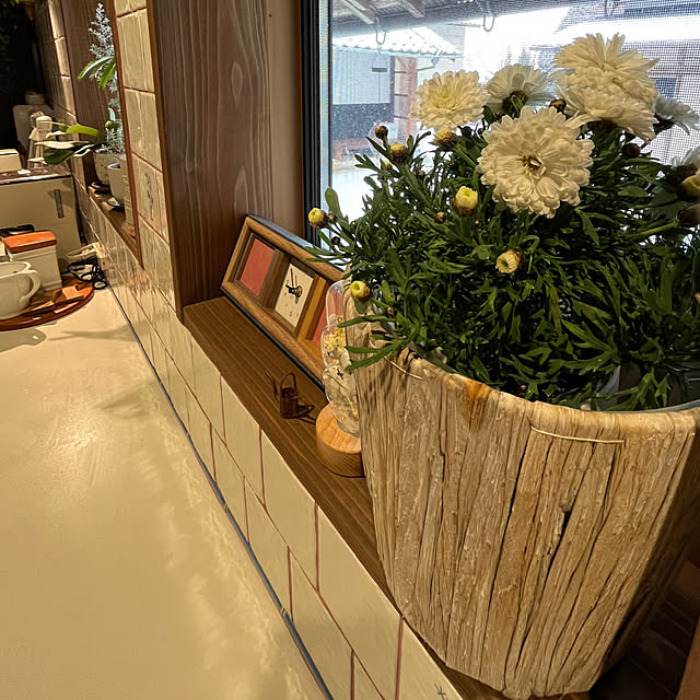cotaさんの部屋