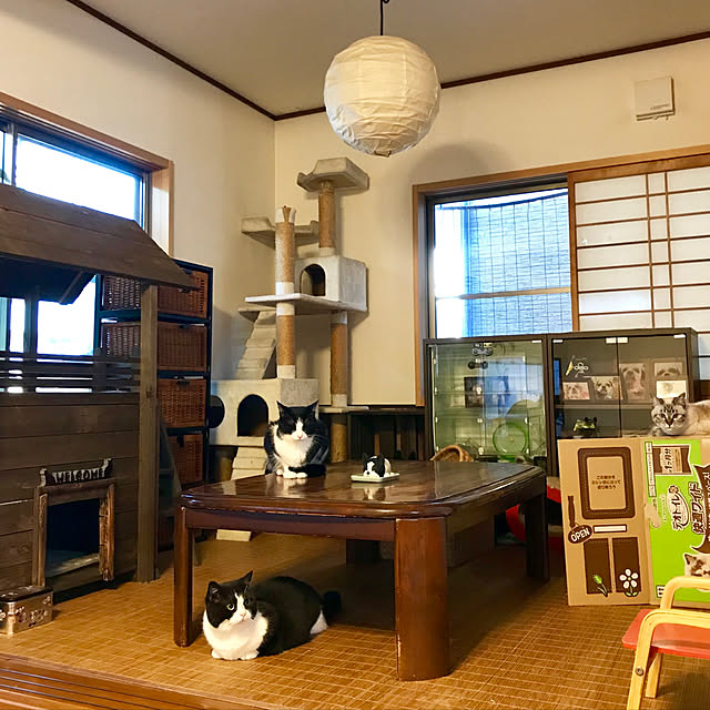 butachanさんの実例写真