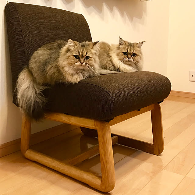 butachanさんの実例写真