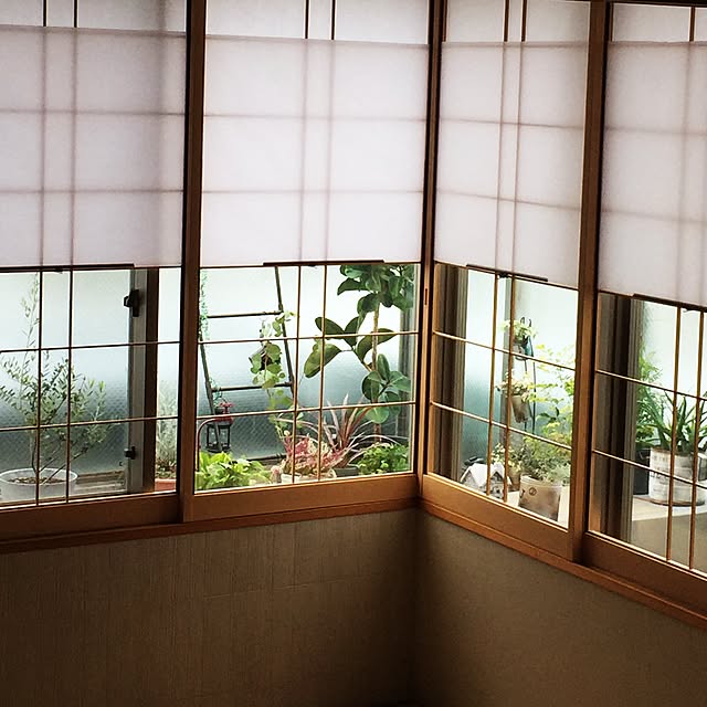 UNさんの実例写真