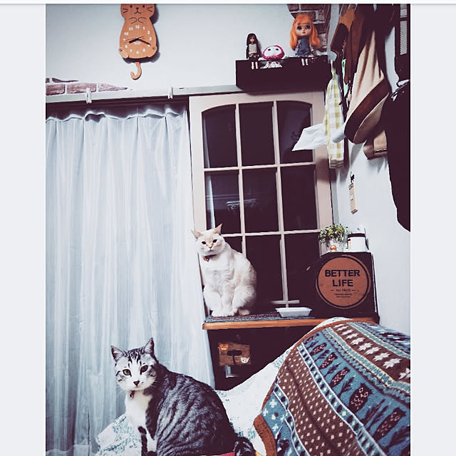 mntcさんの実例写真