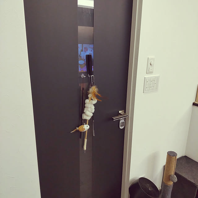 yukaさんの実例写真