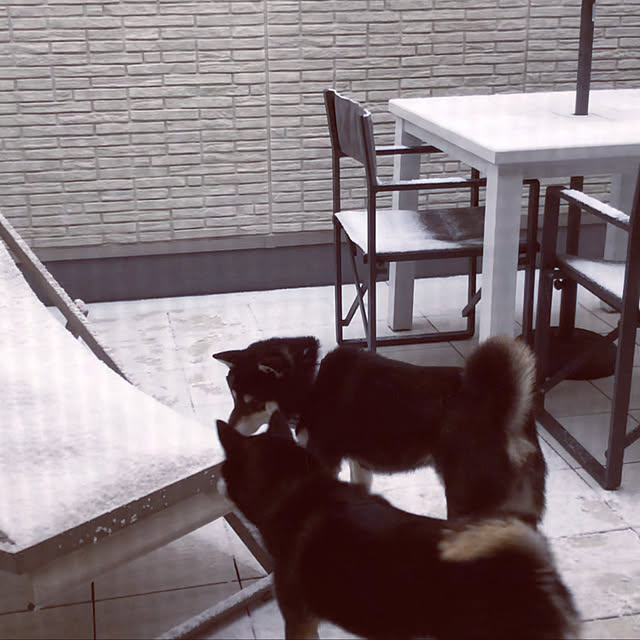 nuruiさんの実例写真
