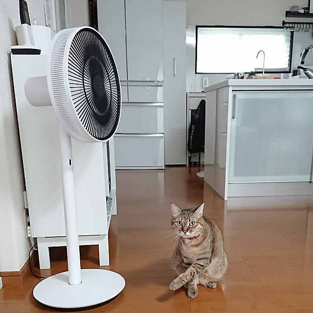 maikyさんの実例写真