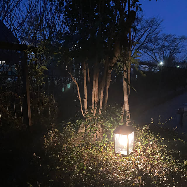 matthewさんの部屋