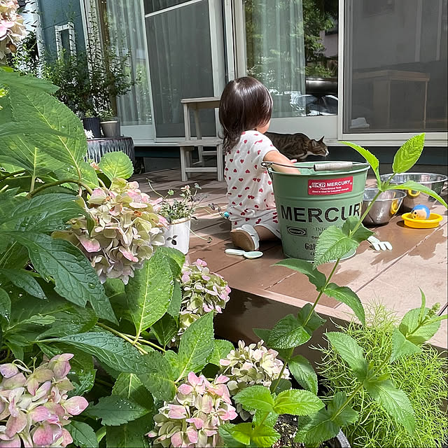 nobikoさんの部屋