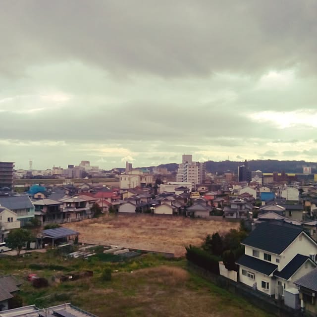 実例写真