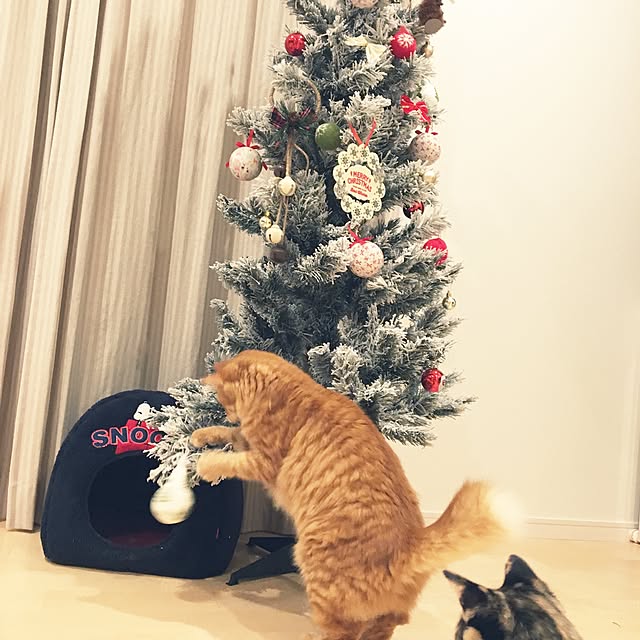 pomuriさんの実例写真