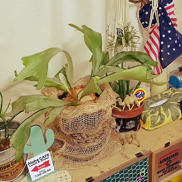 2menmamaさんの実例写真
