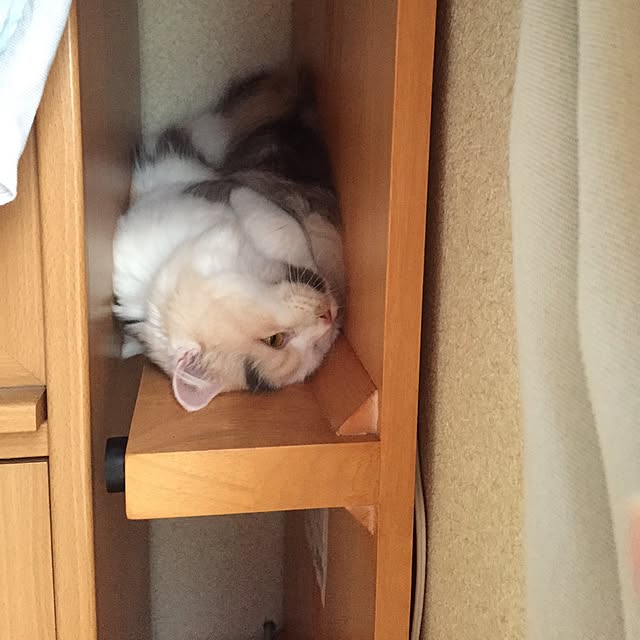 keibooさんの実例写真