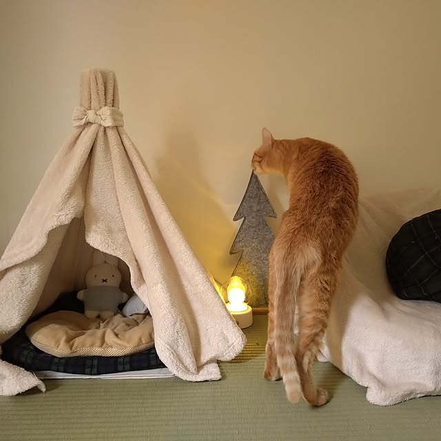 mayutan.さんの部屋