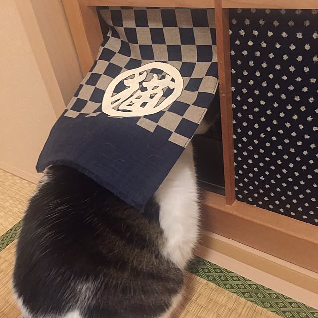 amandaさんの実例写真