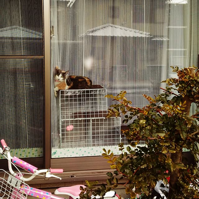 sisimaru1023さんの実例写真