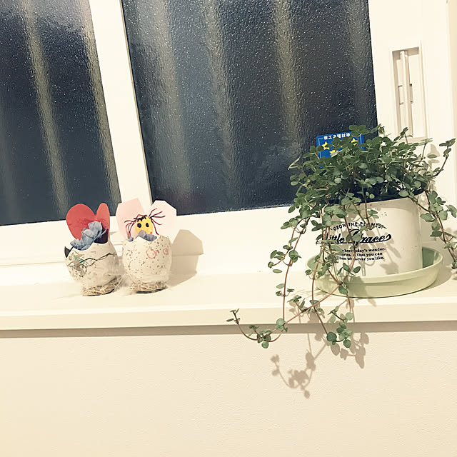 chi-toさんの実例写真