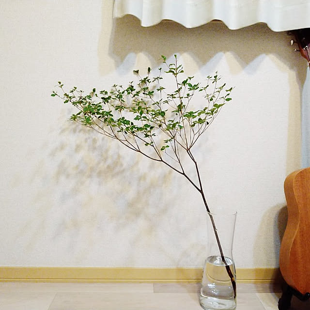 misaさんの実例写真
