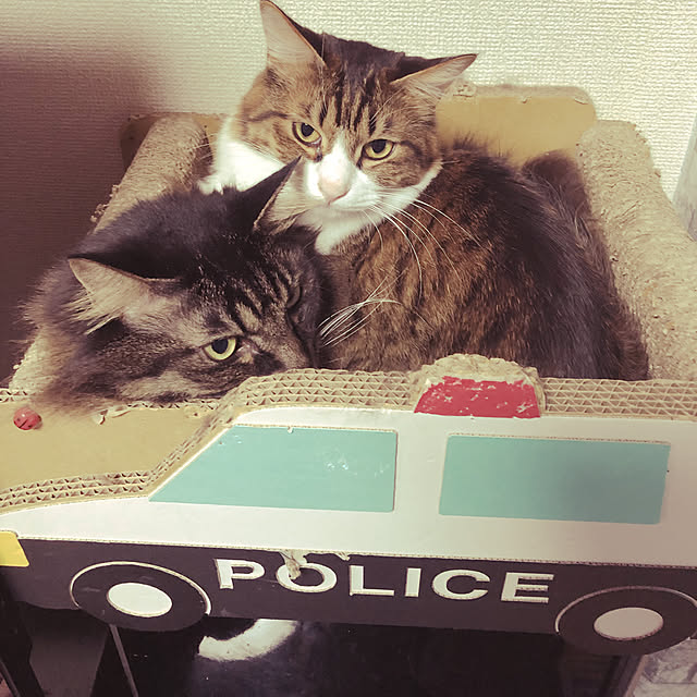 yanさんの実例写真