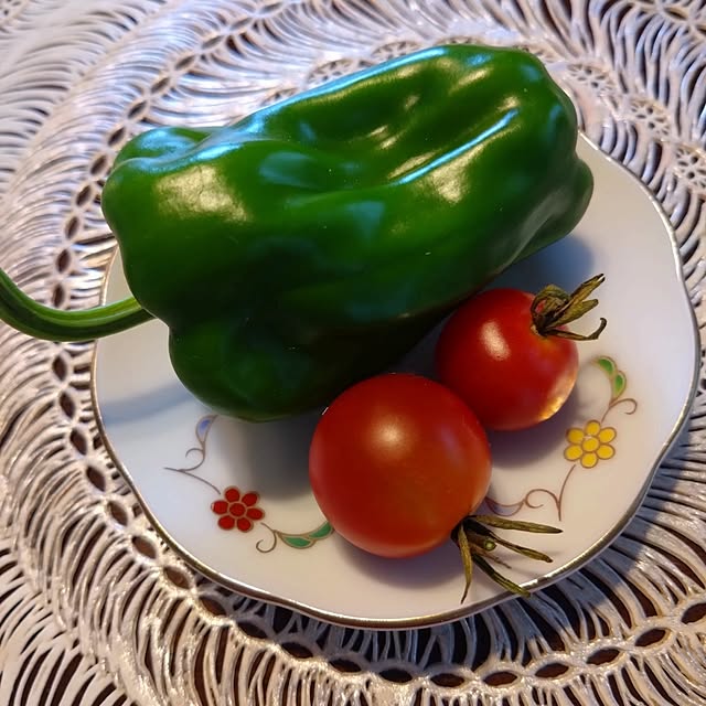 kakkaさんの実例写真