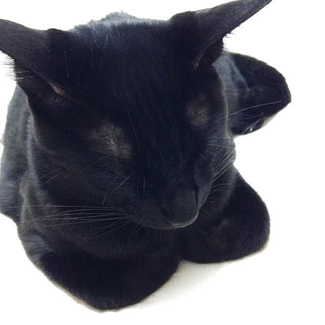Marika..さんの実例写真
