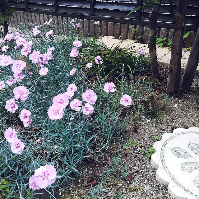 mukunukuさんの実例写真