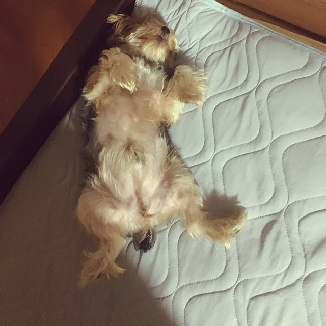 marcheさんの実例写真