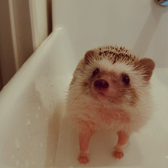 kuruさんの実例写真