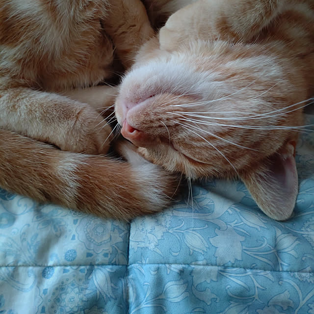 glassさんの実例写真