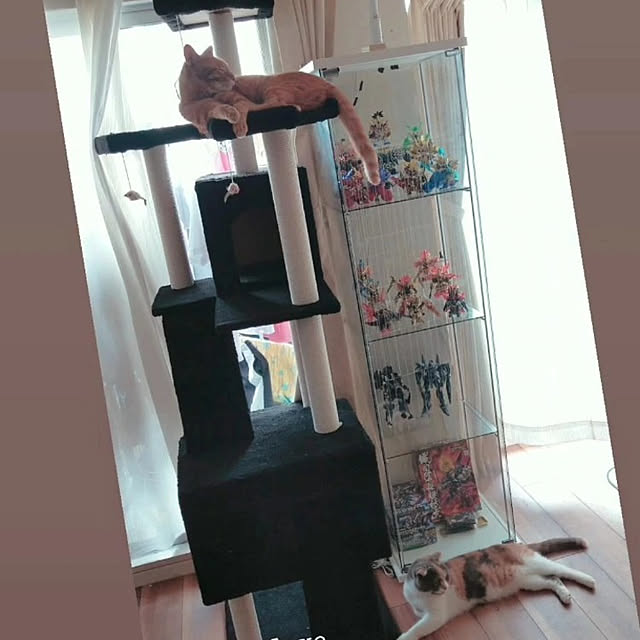 mi-miさんの実例写真