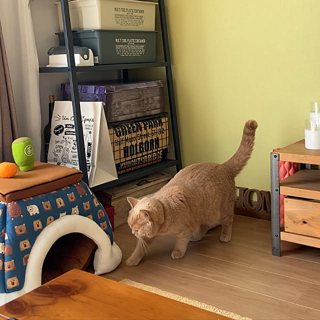 tomoさんの実例写真