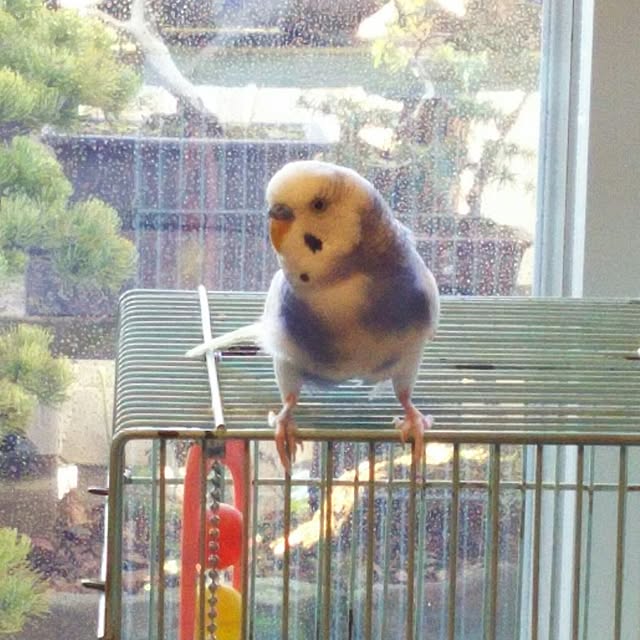 yukoさんの実例写真