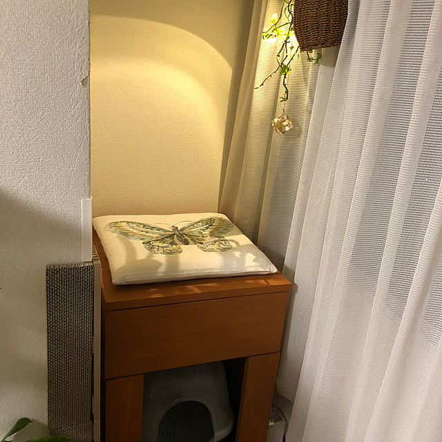 uchidaizuさんの部屋