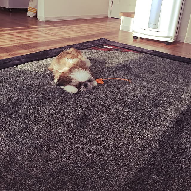 candyさんの実例写真