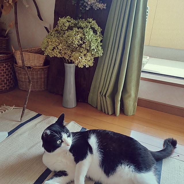 anzuさんの実例写真