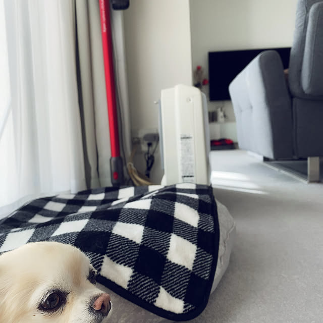 Yumehinaさんの実例写真