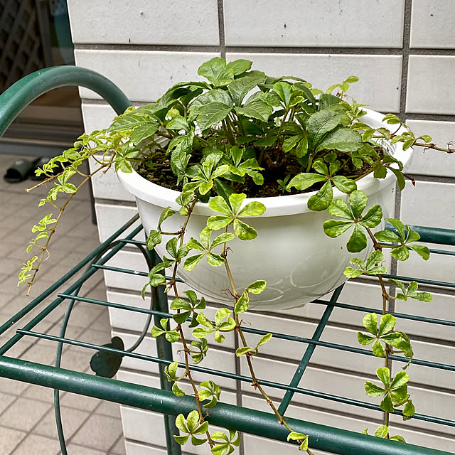 YuuKoさんの部屋