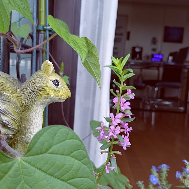 NOAHさんの部屋