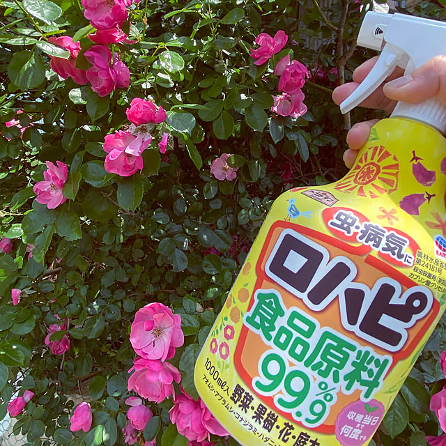 taeさんの実例写真
